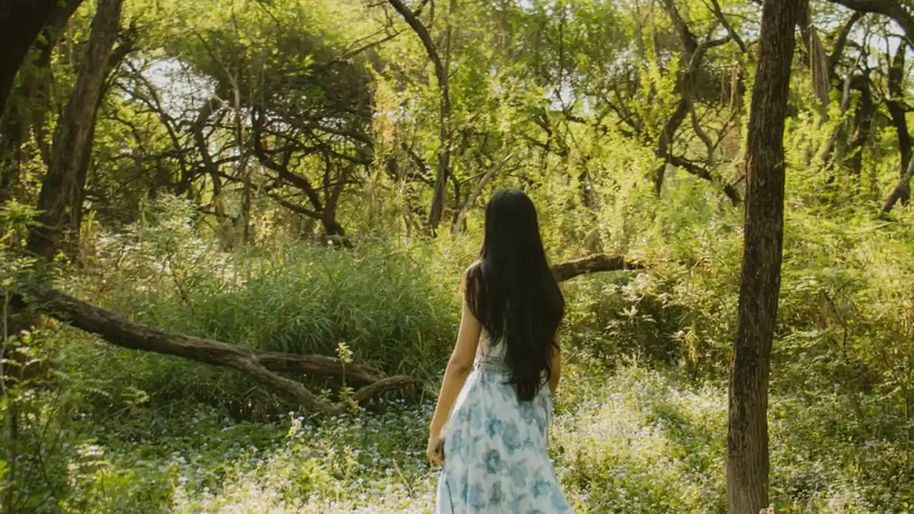 探索fc2素人无料平台的独特魅力